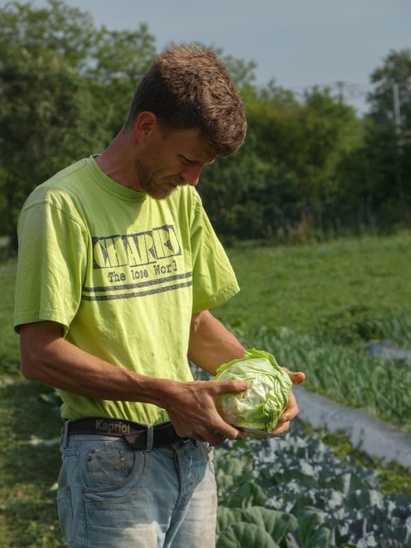 Orto della Mella - Le zucche